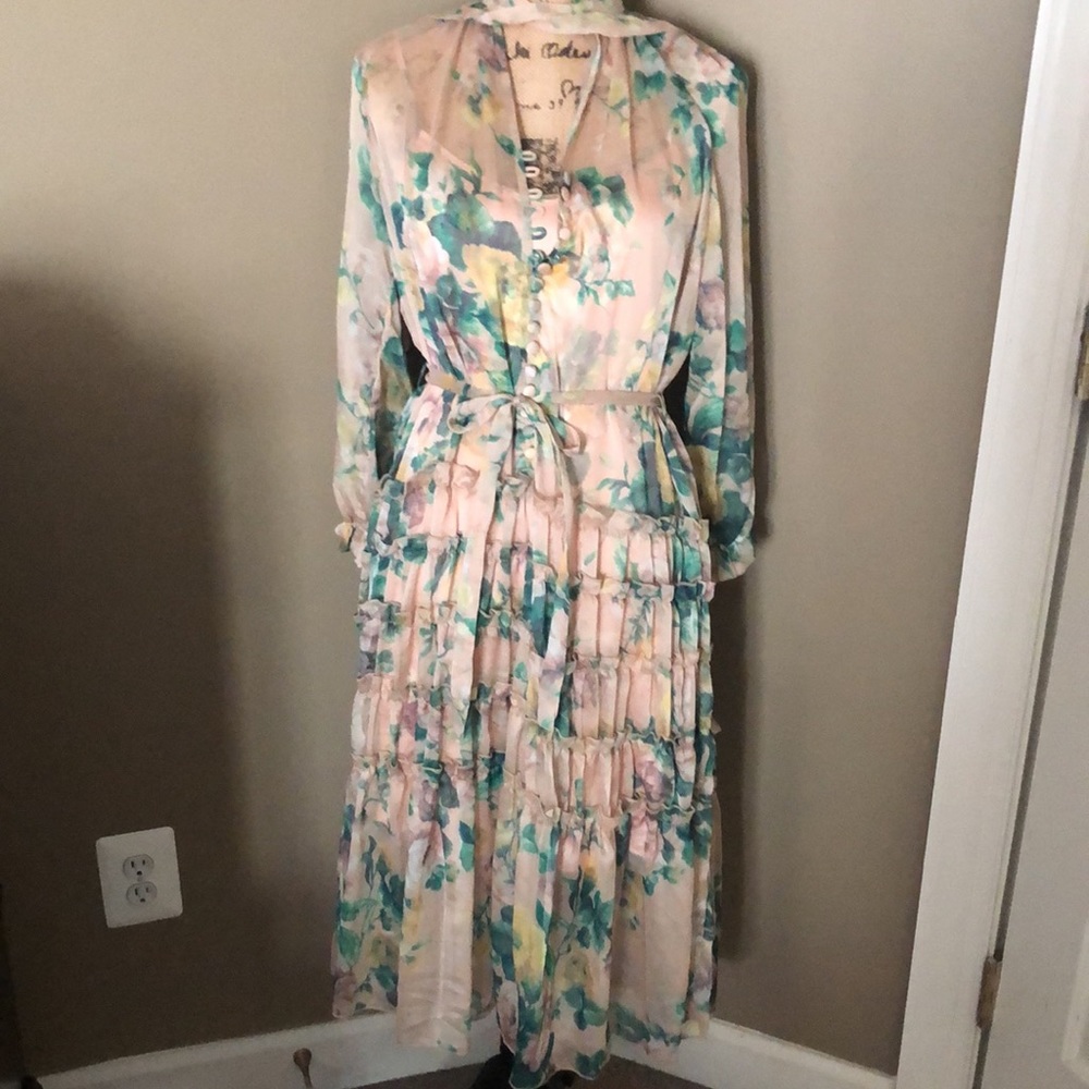 Gorgeous dress and slip combo